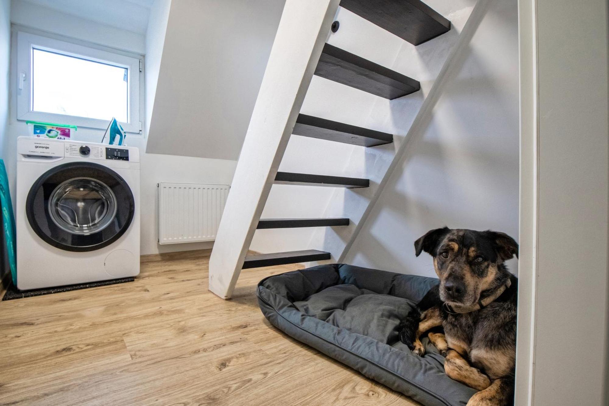 110 Qm Penthousewohnung Bei Bonn / Koeln Lohmar Bagian luar foto